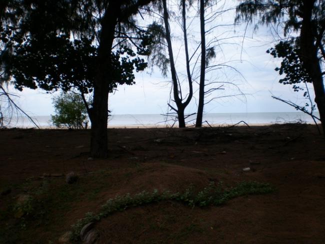 SANY7379.jpg
